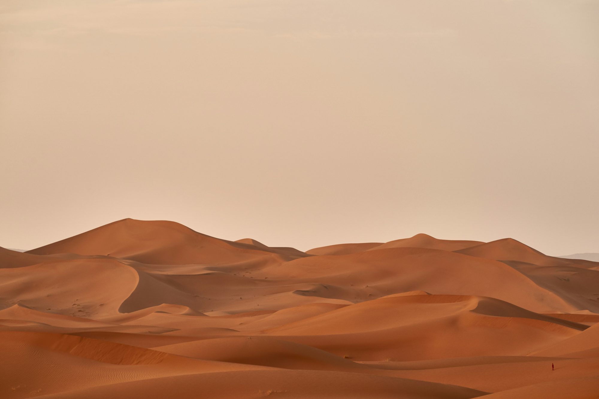 desert chaud