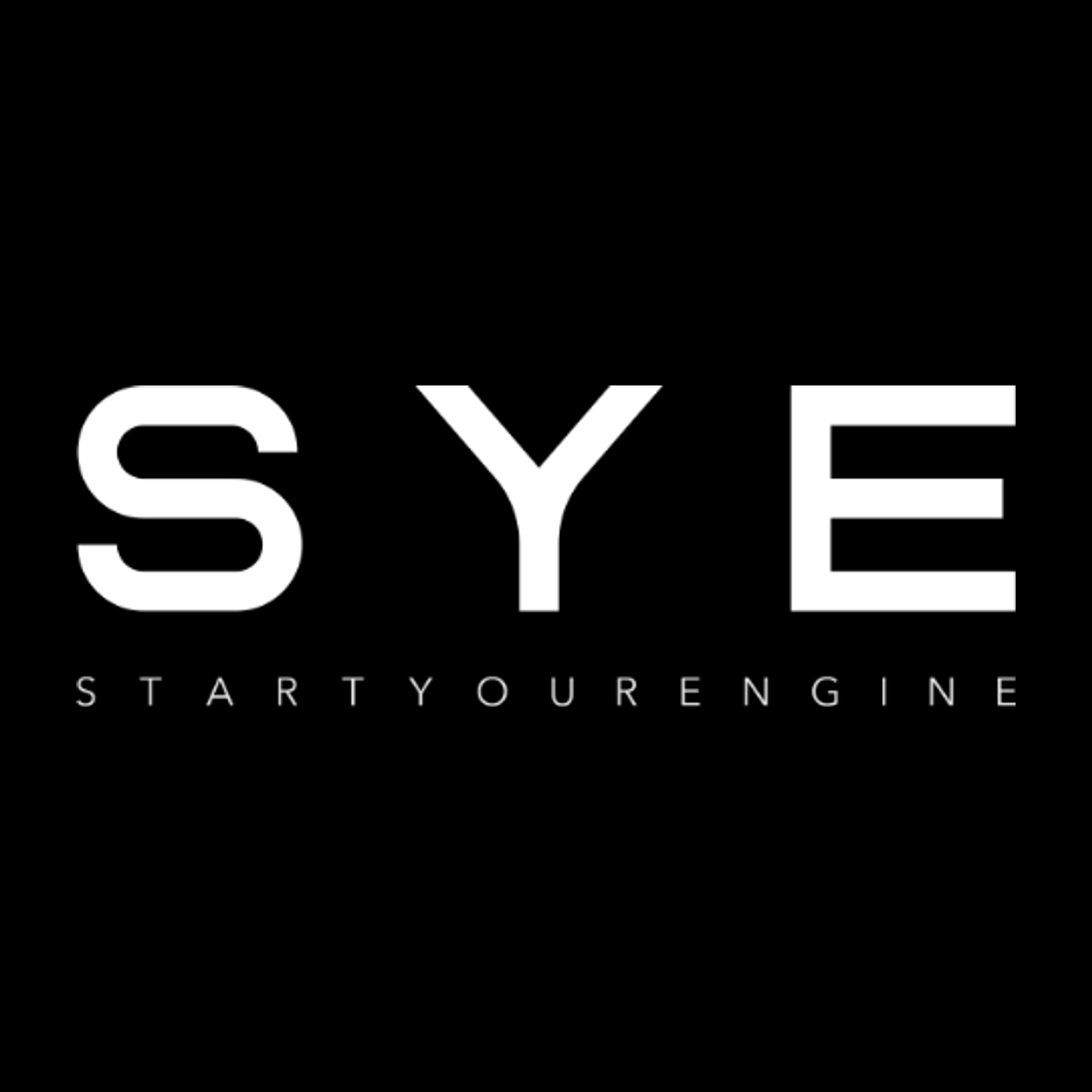 Logo de la marque SYE